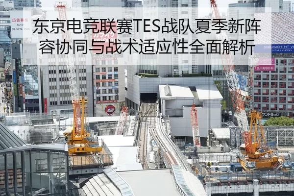 东京电竞联赛TES战队夏季新阵容协同与战术适应性全面解析