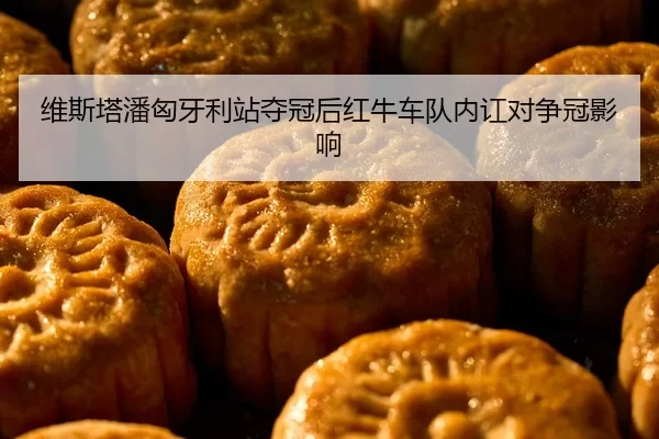 维斯塔潘匈牙利站夺冠后红牛车队内讧对争冠影响
